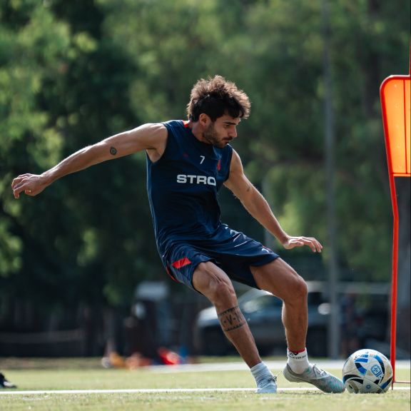 Pocho para rato