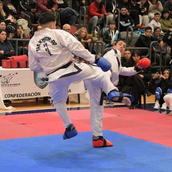 Campeón Interclubes de Taekwondo ITF